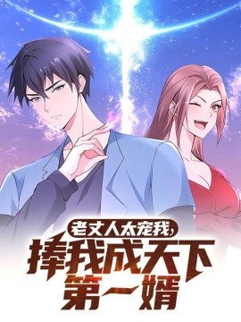 老丈人太宠我捧我成天下第一婿全集