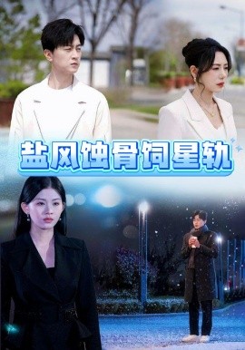 盐风蚀骨饲星轨全集