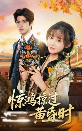 惊鸿掠过黄昏时全集