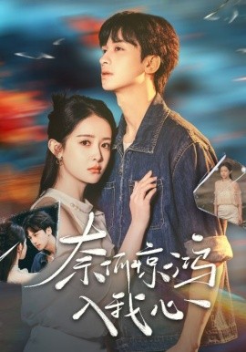 奈何惊鸿入我心全集