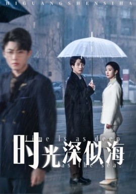 时光深似海全集