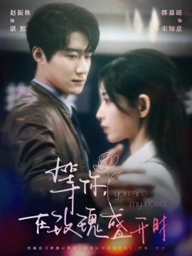 等你在玫瑰盛开时全集