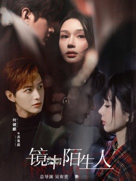 镜中陌生人全集