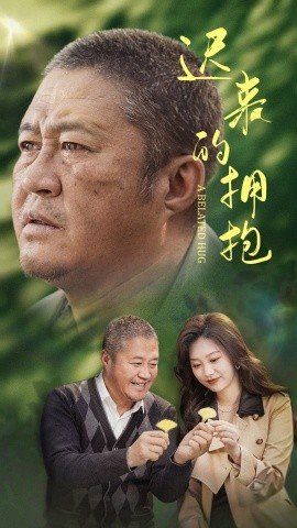 迟来的拥抱全集