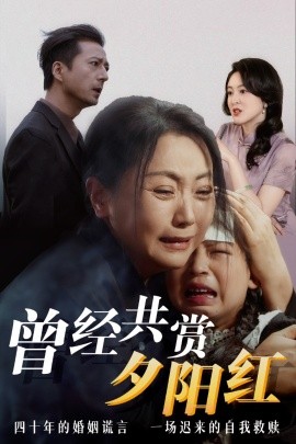 曾经共赏夕阳红全集