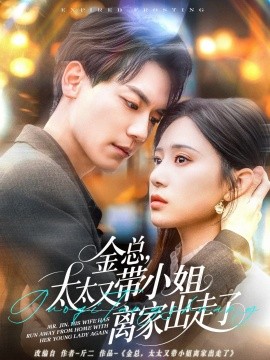 金总，太太又带小姐离家出走了全集
