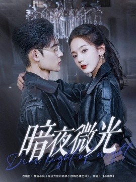 暗夜微光全集