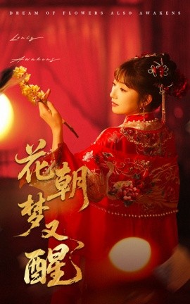 花朝梦又醒全集