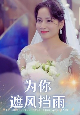 为你遮风挡雨全集