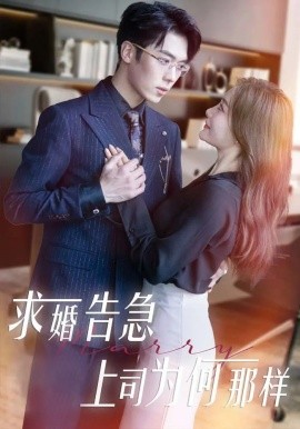 求婚告急上司为何那样全集