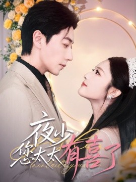 夜少，您太太有喜了全集