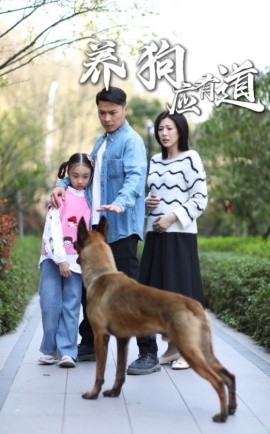 养狗应有道全集