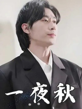 一夜秋 陆少宠妻如命全集
