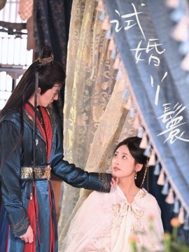 试婚丫鬟全集