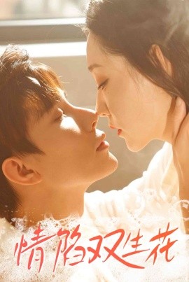 情陷双生花全集