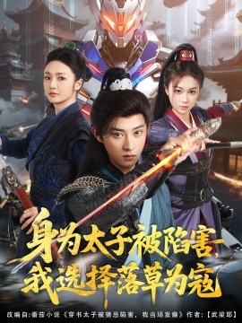 身为太子被陷害，我选择落草为寇全集