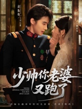 少帅你老婆又跑了全集
