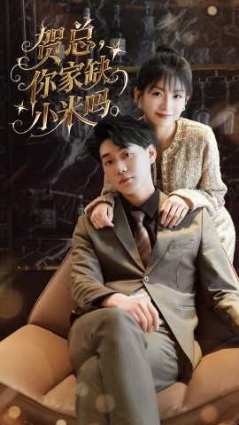 贺总你家缺小米吗全集