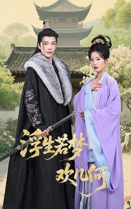 浮生若梦欢几何全集