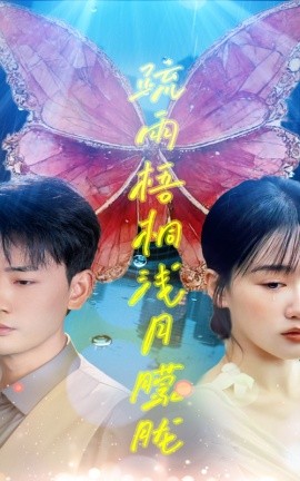 疏雨梧桐浅月朦胧全集