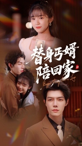 替身丐婿陪回家全集