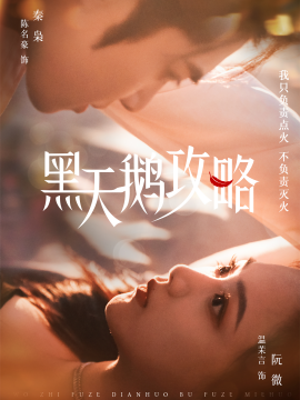 黑天鹅攻略全集