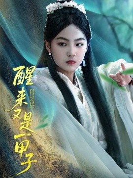 醒来又是一甲子全集