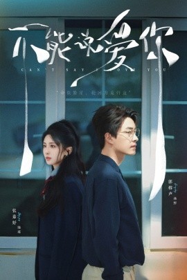 不能说爱你全集