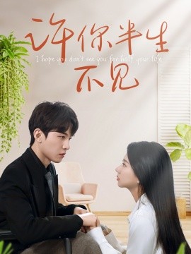 许你半生不见全集