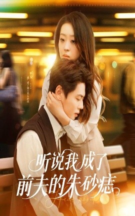 听说我成了前夫的朱砂痣全集