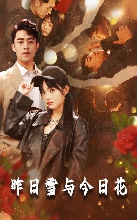 昨日雪与今日花全集