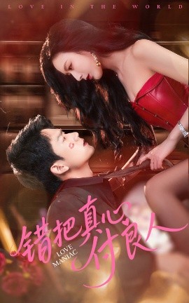 错把真心付良人全集