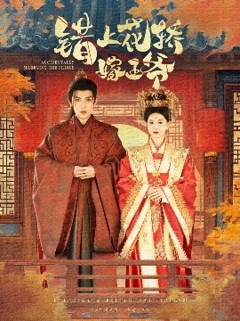 错上花轿嫁王爷全集