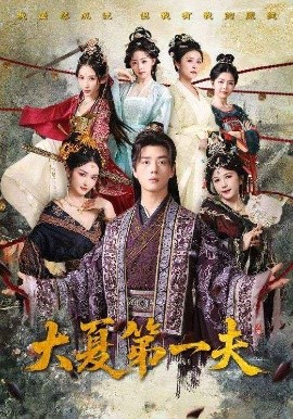 大夏第一夫全集