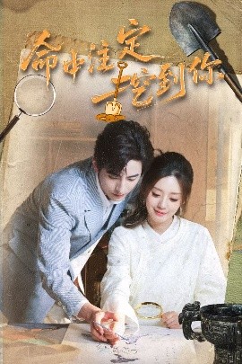 命中注定挖到你全集