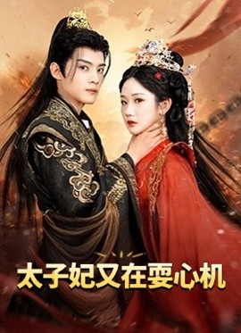 太子妃又在耍心机 人家才不是坏女人全集
