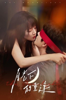 月光下的重逢全集