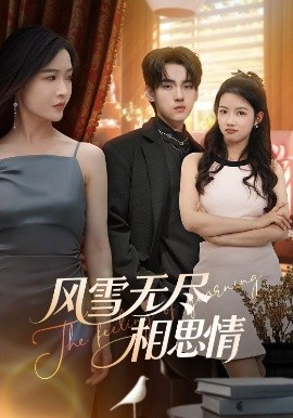 风雪无尽相思情全集