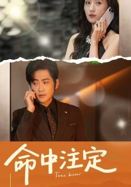 命中注定全集