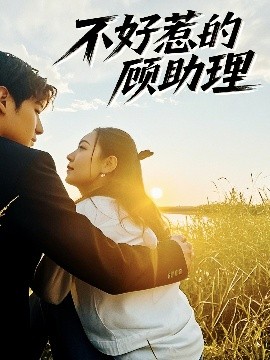 不好惹的顾助理全集