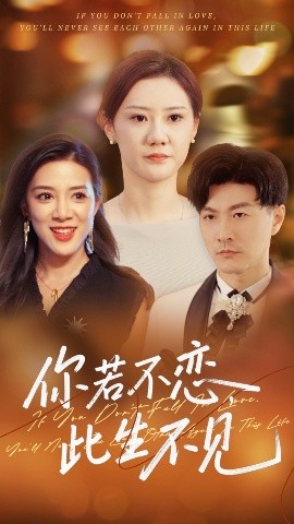 你若不恋此生不见全集