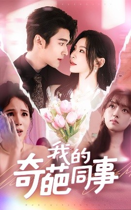 我的奇葩同事全集