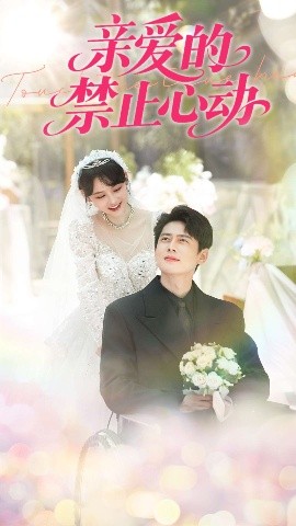 亲爱的禁止心动全集