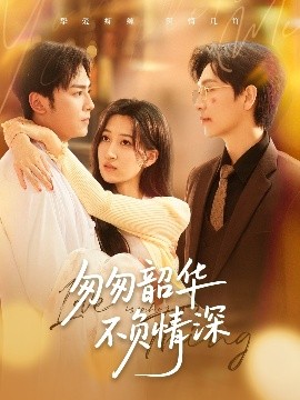 匆匆韶华不负情深全集