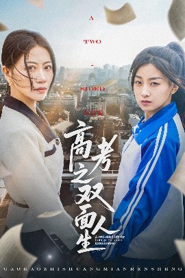 高考之双面人生全集