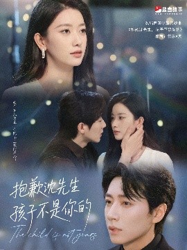 抱歉沈先生孩子不是你的全集