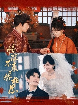 情深不寿烬相思全集