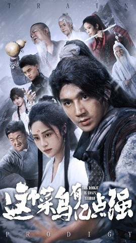 这个菜鸟有亿点强全集