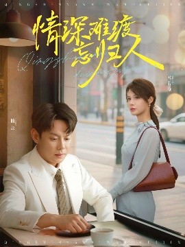 情深难渡忘归人全集