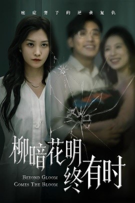 柳暗花明终有时全集